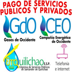 PAGO DE SERVICIOS PUBLICOS DE LA ENERGIA-GAS Y AGUA